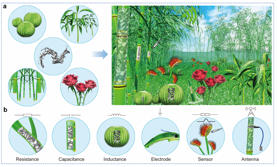 清華大學劉靜教授團隊《Mater. Today》:首次提出液態金屬植物注射電子學 清華大學劉靜教授團隊《Mater. Today》:首次提出液態金屬植物注射電子學